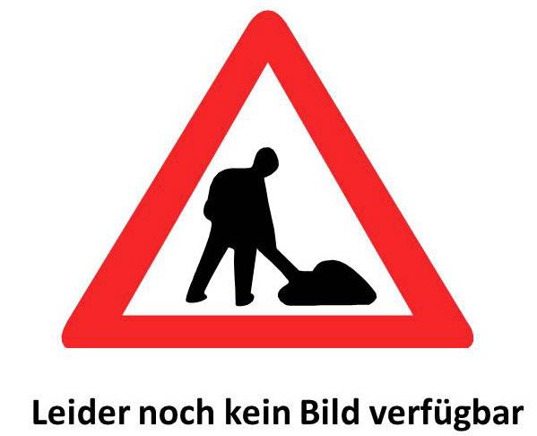 Manometer 0 bis 6 bar für ZGV Druckminderer